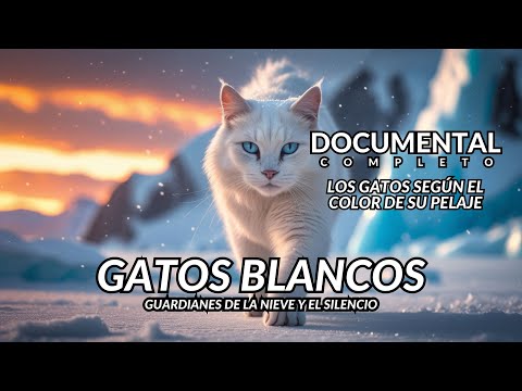 Gatos Blancos - Los Gatos Según el Color de su Pelaje | Documental Completo