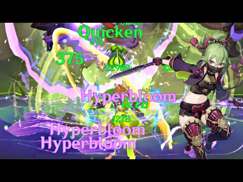 Kuki Shinobu is becoming META (500K+ HYPERBLOOM DMG)