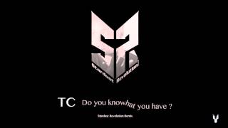 TC - Do you know what you have? (Stardust Revolution Remix) (Yota) (Brandy Cover)