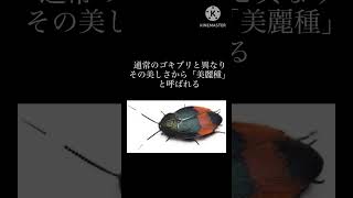 #shorts 日本で発見された新種生物　3選