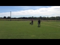IMG 4084