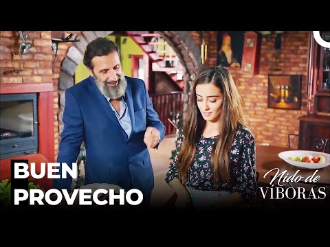 Un Festín De Elvan A Kudret - Nido De Víboras