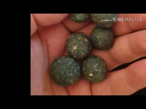DIY Boilies einfach mit günstigen Zutaten