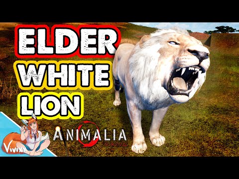 Playing a Legacy White Elder Lion in Animalia Survival