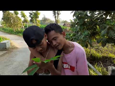 preman-pemula-kapusan-bos-gorenganlucu-video-pendek-jawatktdw-channel