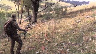 TG OUTDOORS AUSTRALIA - Oz-Cut Broadheads Billies & Boars 2014