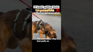 If leash pulling feels impossible.. you’re starting in the wrong place!