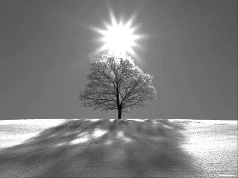Vivaldi (비발디) - Winter, Allegro non molto (사계 중 겨울 1악장)