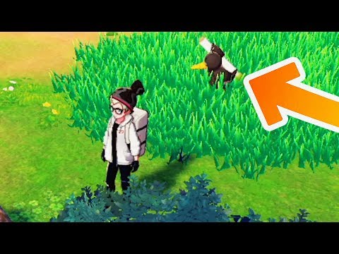 Pokémon Sword & Shield - Walkthrough - Part 11 - How to find Farfetch'd in Pokémon Sword