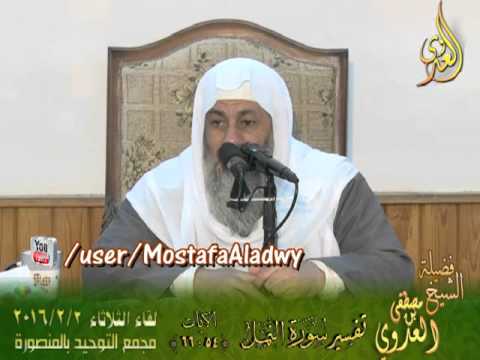  تفسير سورة النمل الايات من 54 إلى 66  لفضيلة الشيخ مصطفى العدوي 