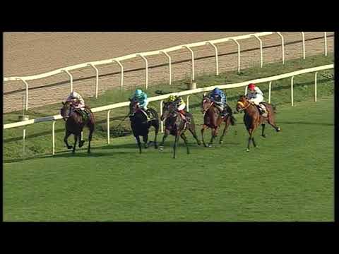 rm 20201110 04 p windsor