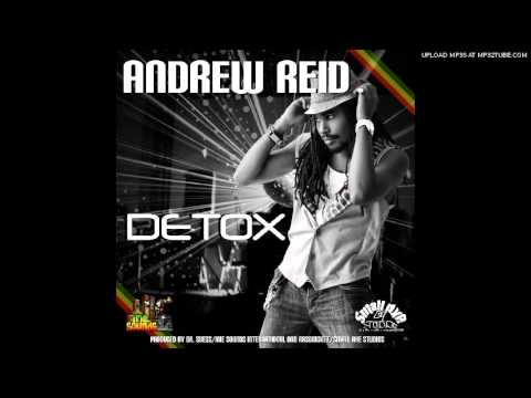 Andrew Reid - Detox (Irie Sounds International/Small Axe Studios)