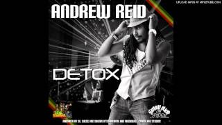 Andrew Reid - Detox (Irie Sounds International/Small Axe Studios)