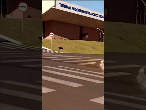 Rodoviária Municipal de Francisco Beltrão no interior do Paraná. Viajando de ônibus. #rodoviária