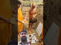 Muneswar Naga Baba Jainupdates