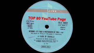 A Flock Of Seagulls - Wishing (If I Had A Photograph Of You) (Extended Version)