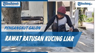 Viral Pengangkut Galon di Tegal Rawat Ratusan Kucing Liar, Rela Gajinya Buat Pakan dan Dokter Hewan