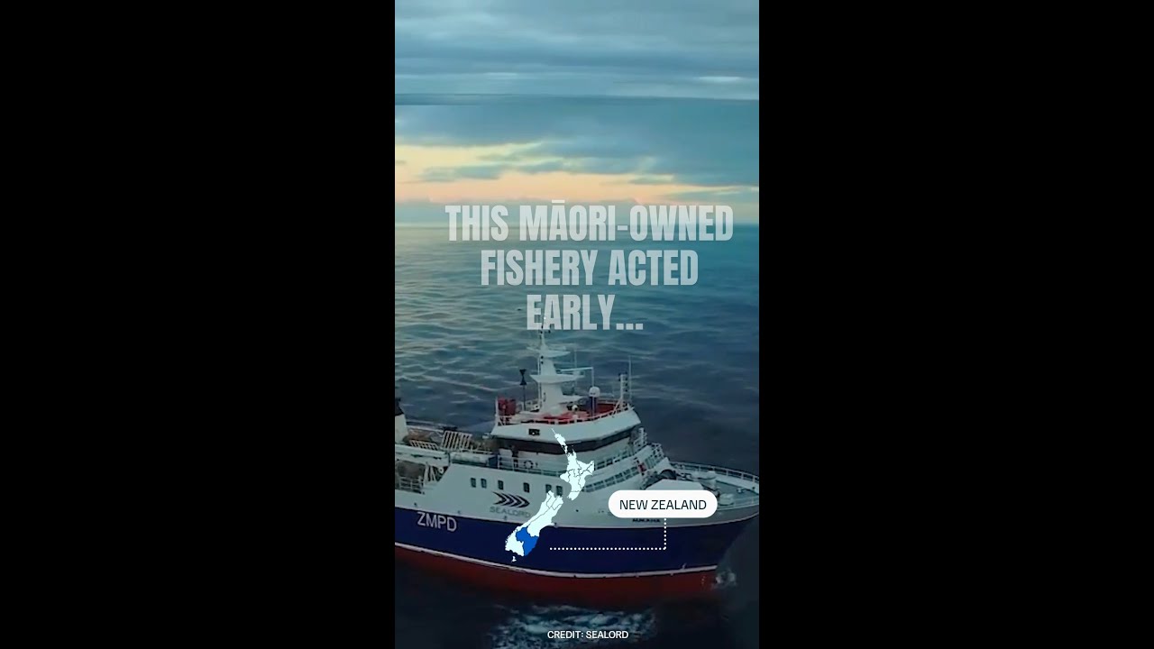 The Māori-owned fishery that acted early...