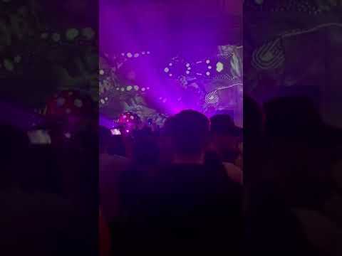 RPR Soundsystem @ summer of love festival 2021