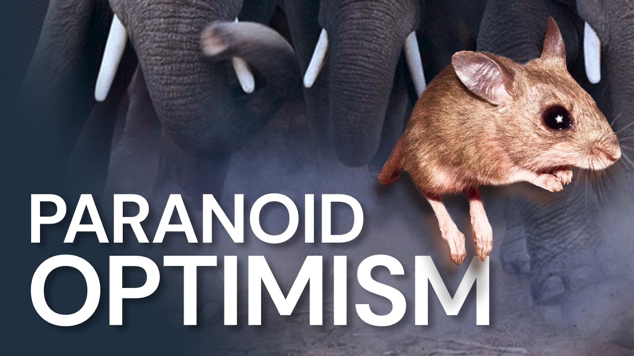 ‘Paranoid Optimism’ with Yaniv: How the best founders balance fear and hope