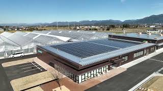 Behold the new Suntory Flowers Innovation Field!