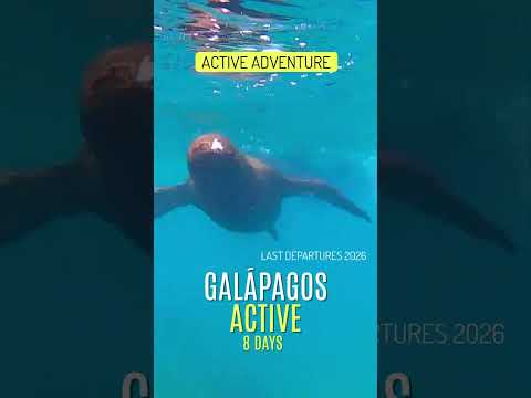 🦭 35 seconds of the most active adventure of your life in the Galapagos. 🌊✨