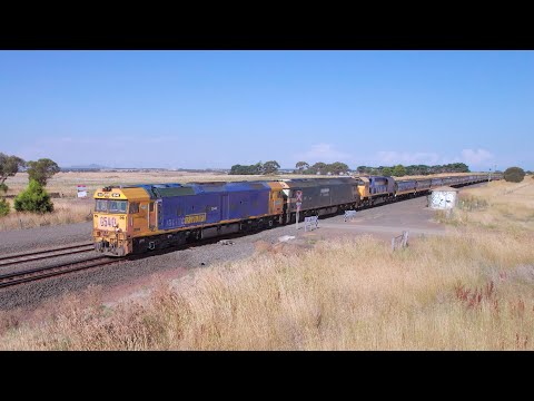 7731V Pacific National Grain Train Enters Gheringhap Loop (23/1/2023) - PoathTV Australian Railways