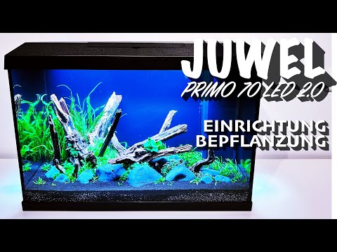 Juwel Primo 70 LED 2.0 - Einrichtung & Bepflanzung