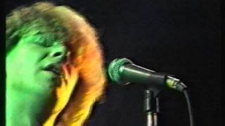 The Teardrop Explodes Video Sounds In Concert Nottingham 14/08/81