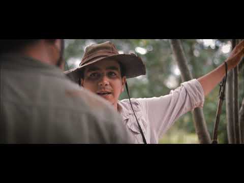 Hernán Arias - Siguiendo las huellas (videoclip oficial)