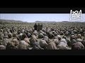 THE BIBLE - Official Trailer | FOX Home Entertainment