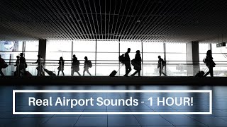 Download lagu One Hour of Airport Sounds - Boarding Announcement | Call Ding | White Noise mp3