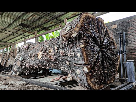 Beautiful Grain Monster Log ‼ Extreme Wood Cutting at the Sawmill