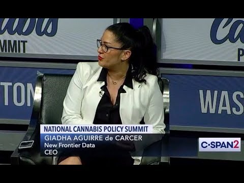 National Cannabis Policy Summit: New Frontier Data Highlights