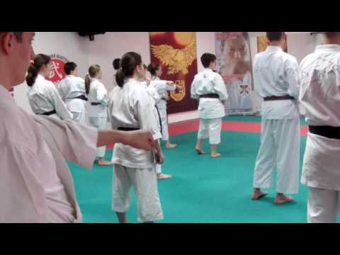 Sensei Hiroshi Shirai 10 Dan in Skopje Macedonia - Dejan Nedev kata enpi