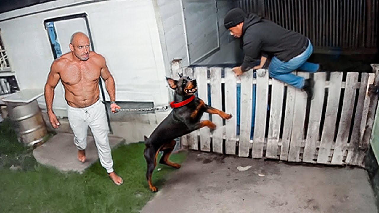 When Thieves Rob The WRONG House !