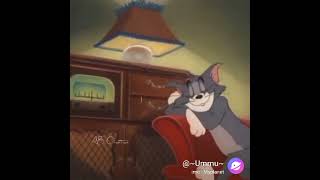 Tarasti hai nigahen song with Tom and Jerry