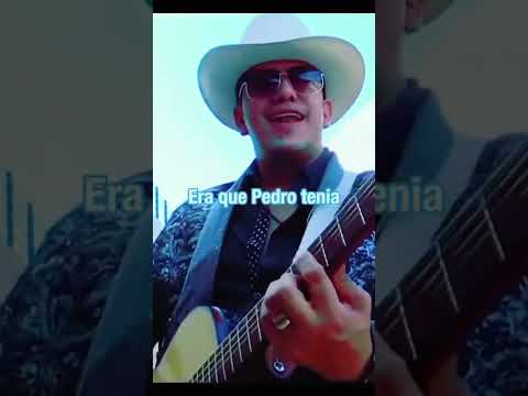 Bajo La Sombra De Pedro - Musica Cristiana