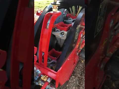 Checchi & Magli (C&M) Wolf PRO Pineapple