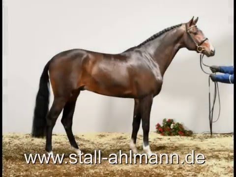 DirkAhlmann-C Hardwell 2015