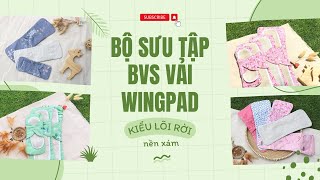 BỘ SƯU TẬP BVS VẢI WINGPAD - KIỂU LÕI RỜI NỀN XÁM