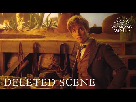 Fantastic Beasts and Where to Find Them - DELETED SCENE debut at A Celebration of Harry Potter 2017