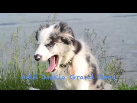 Antti Jussila Grand Jimis