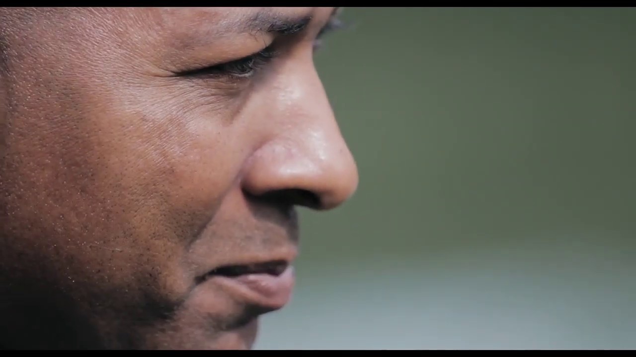 Pássaro Transparente