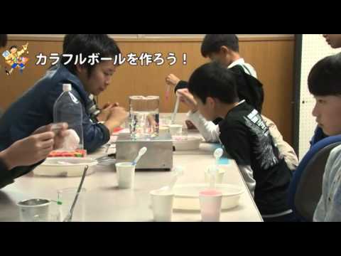 愛媛大学「観て さわって第20回 科学，体験2013フェスティバル」