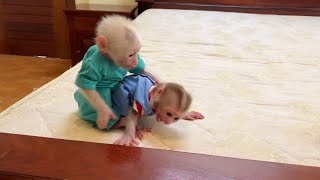 Baby Titas Scream Loud Anqry Bro Pavpav Bi--te Him When Mom Outside