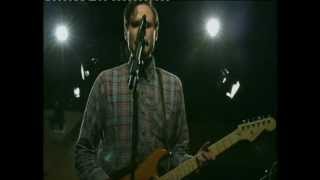 CHEATAHS :THE SWAN : FOUNTAIN PARK : 2013