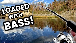 Fall Fishing (River Largemouth Bass)