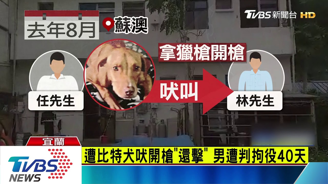 遭比特犬吠開槍「還擊」　男遭判拘役40天