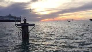 Colour of the Sun - Jimmy Buffett